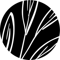 Seife