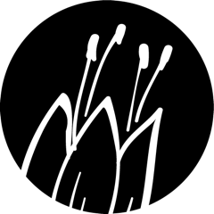 Massageöle